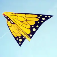 Image for the Delta Kites category