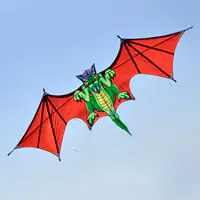 Image for the Artistic Kites category