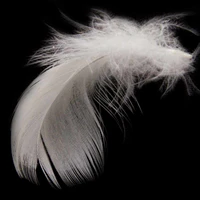 Image for the tag light